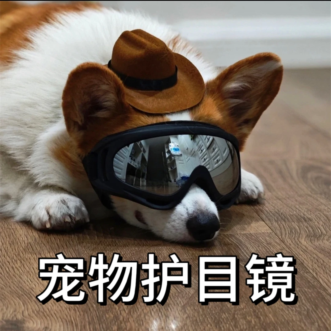狗狗护目镜比熊泰迪法斗网红宠物防风警犬眼镜边牧柯基墨镜滑雪镜