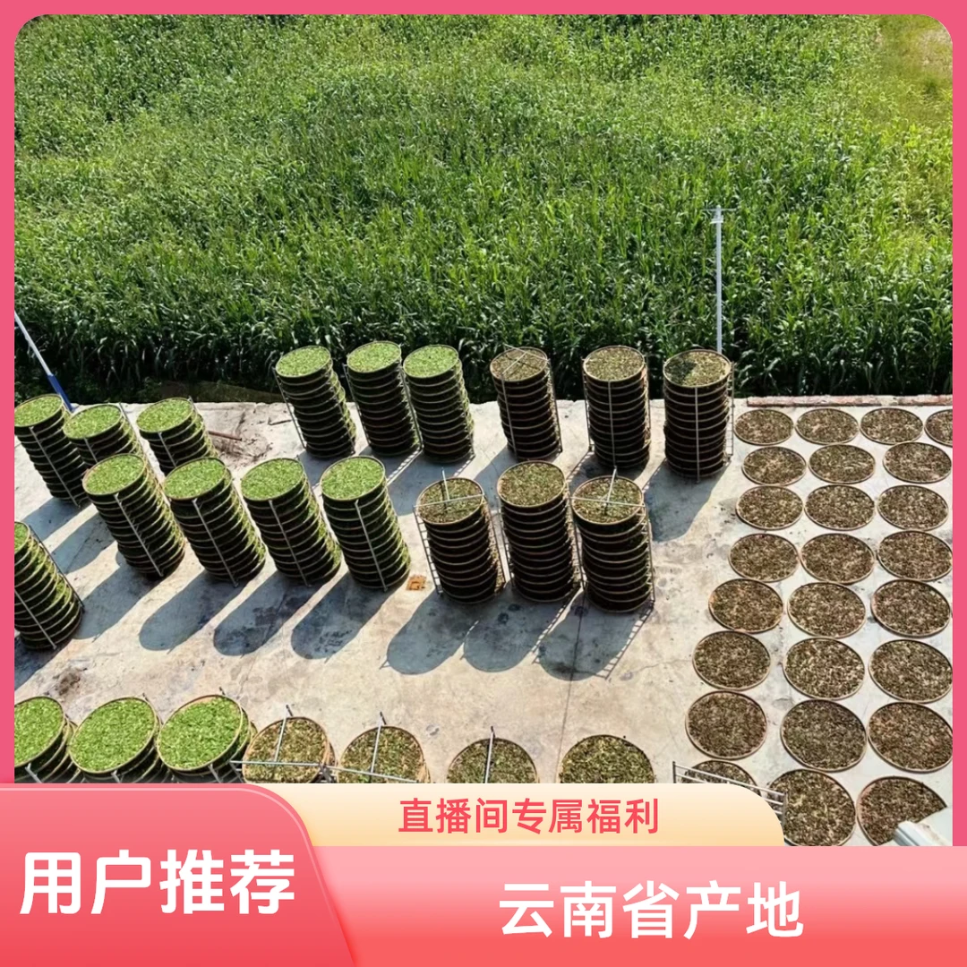 好茶分享【 1  】- 通用链接 -以直播间主播介绍为准