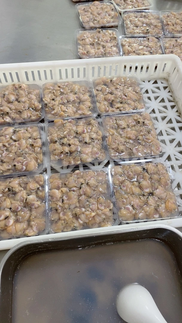 吕四本港蛤蜊肉净半斤/盒顺丰包邮