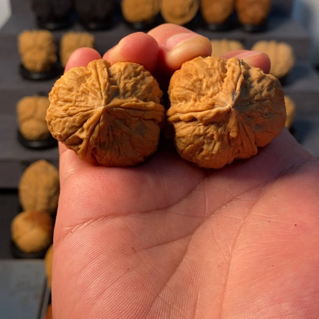 【闪购商品】文玩核桃把件9**败