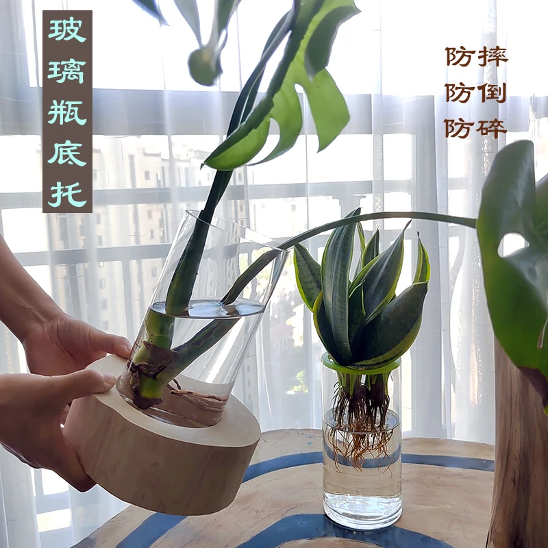 玻璃花瓶底座保护防摔防碎防倒马醉木吊钟富贵竹水培底托固定个性