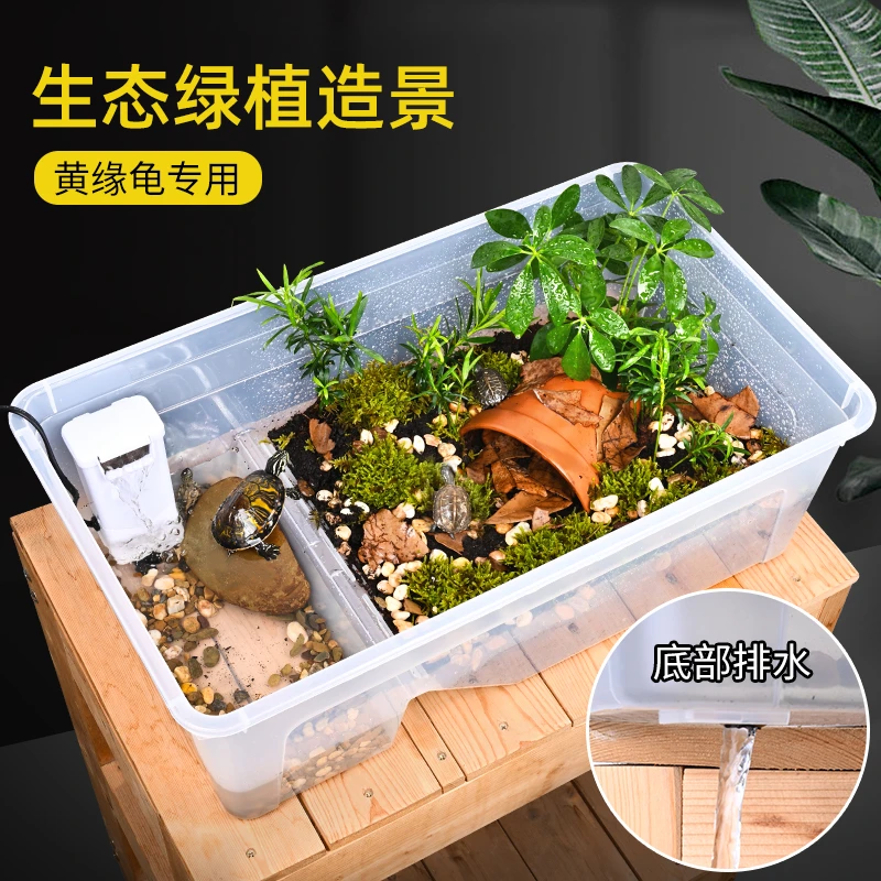乌龟饲养缸黄缘半水龟专用生态造景特大号水陆两用缸植物套餐60cm