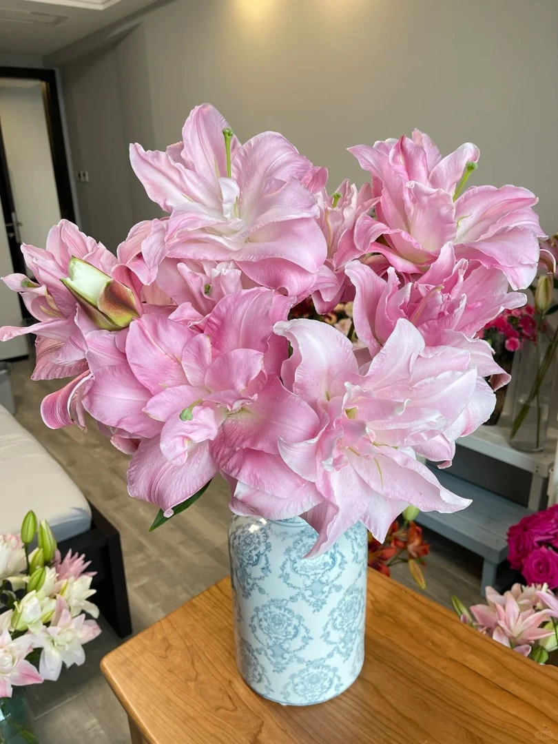 定制精选多头双钻重瓣百合--优雅梦幻(实物以直播间为准）花艺自然