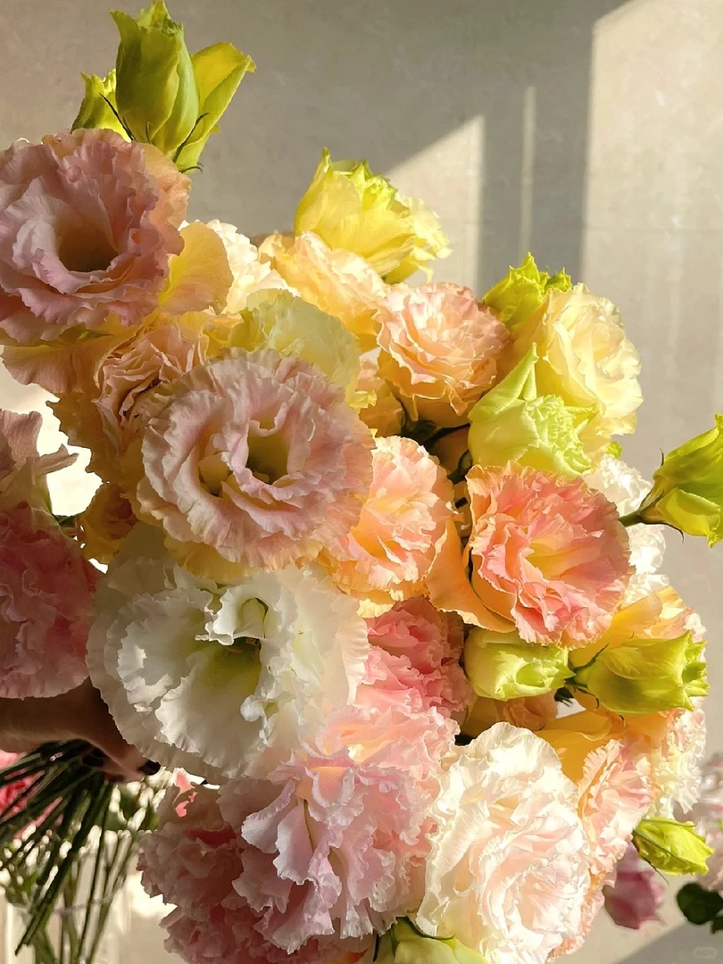 三文鱼洋桔梗一束-实物以直播间为准