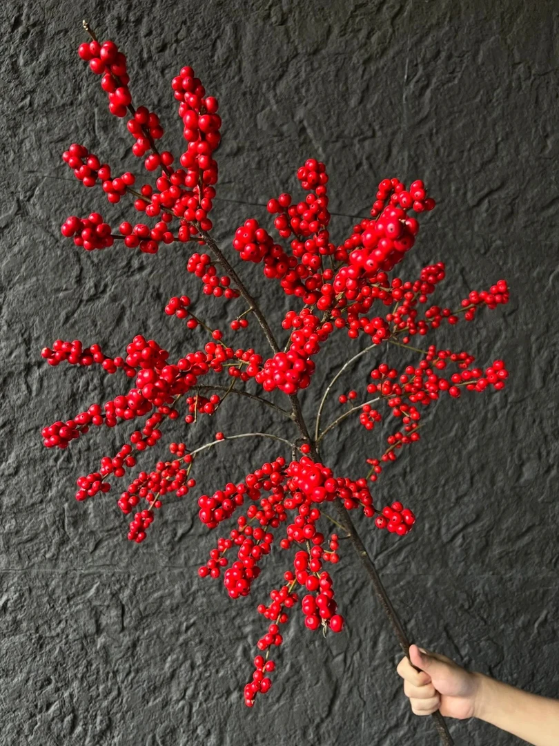 60cm款 冬青 红果-鲜切枝 5支   氛围居家瓶插-观赏-应景