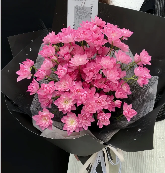 天河繁星--多头玫瑰--（实物以直播间为准）收到带包装深水醒花