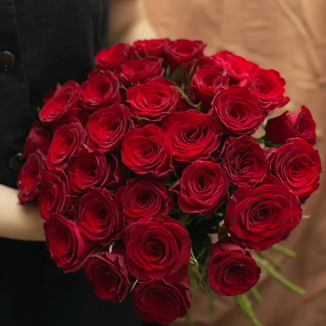 传奇---单头玫瑰-- 热烈鲜艳（实物直播间展示为准）