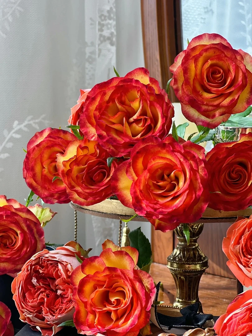 老虎单头玫瑰--收到花第一时间醒花哟