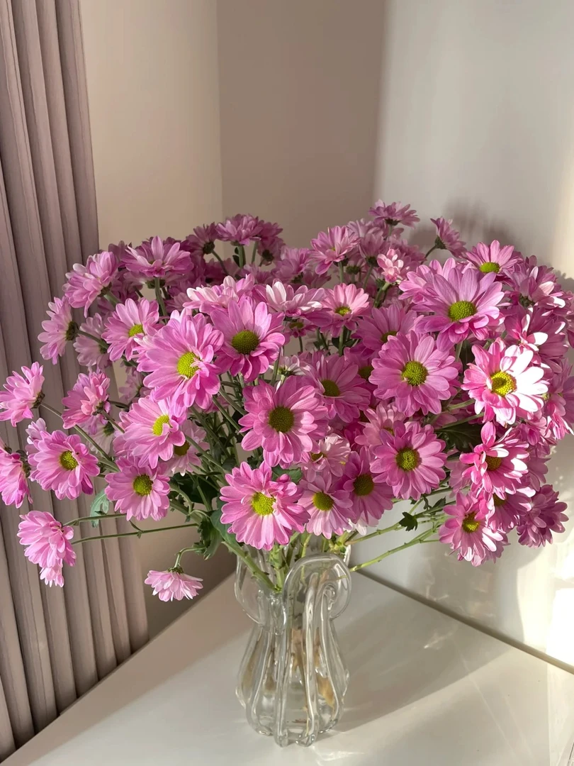 定制精选紫色三文鱼--收到花第一时间醒花(实物以直播间为准)