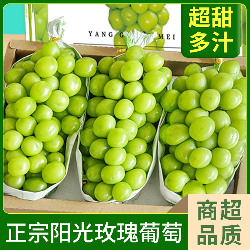 DR顺丰包邮5斤装口感脆甜晴王阳光玫瑰多汁葡萄提子
