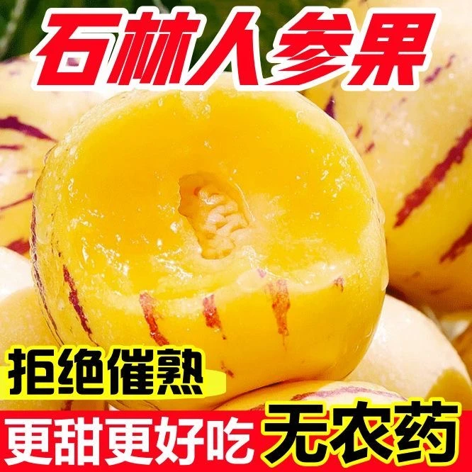 【精品特大果】云南石林七彩果人参果超甜黄果黄心水果释迦果
