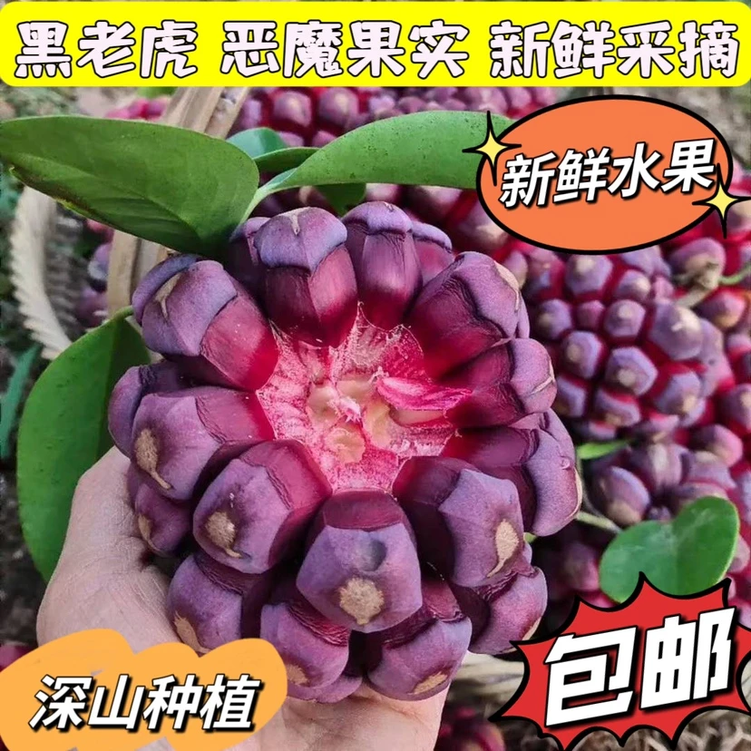 新鲜黑老虎水果大血藤果布福娜酒饭团稀奇古怪当季罕见恶魔果水果