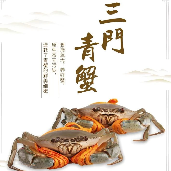 【青蟹公母蟹套餐】正宗大号三门青蟹源头直发鲜活到家顺丰包邮包活