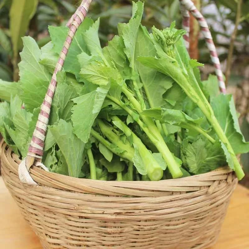 （油菜苔）恩施新鲜油菜苔现摘现发1000克起包邮