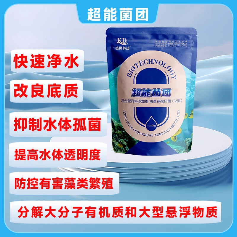 超能菌团。盛世科达快速净水清水 补菌 调水 调节水体透明度