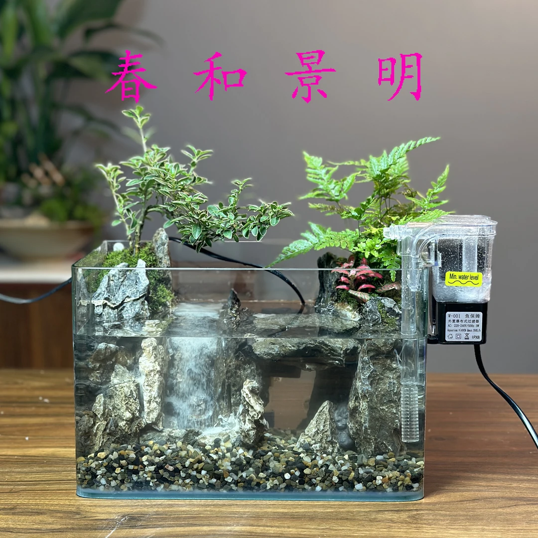 苔藓微景观造景山水鱼缸家用办公卧室绿色桌面摆件组合赤楠成品