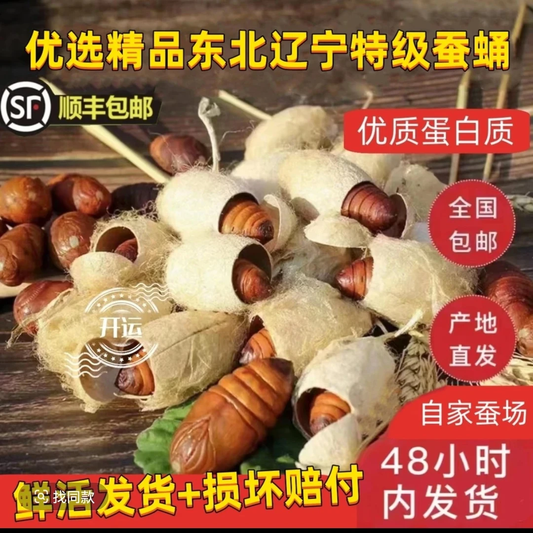 东北特产新鲜带壳柞蚕蛹高蛋白绿色低脂