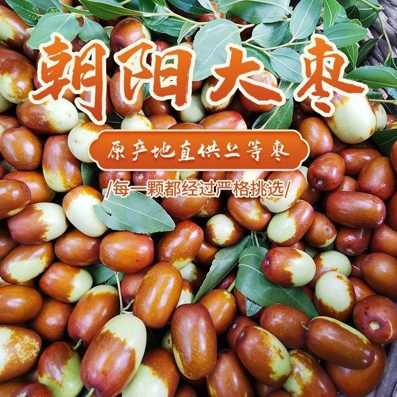 东北辽宁朝阳二十家本地平顶枣大枣皮薄肉厚果园现摘现发包邮