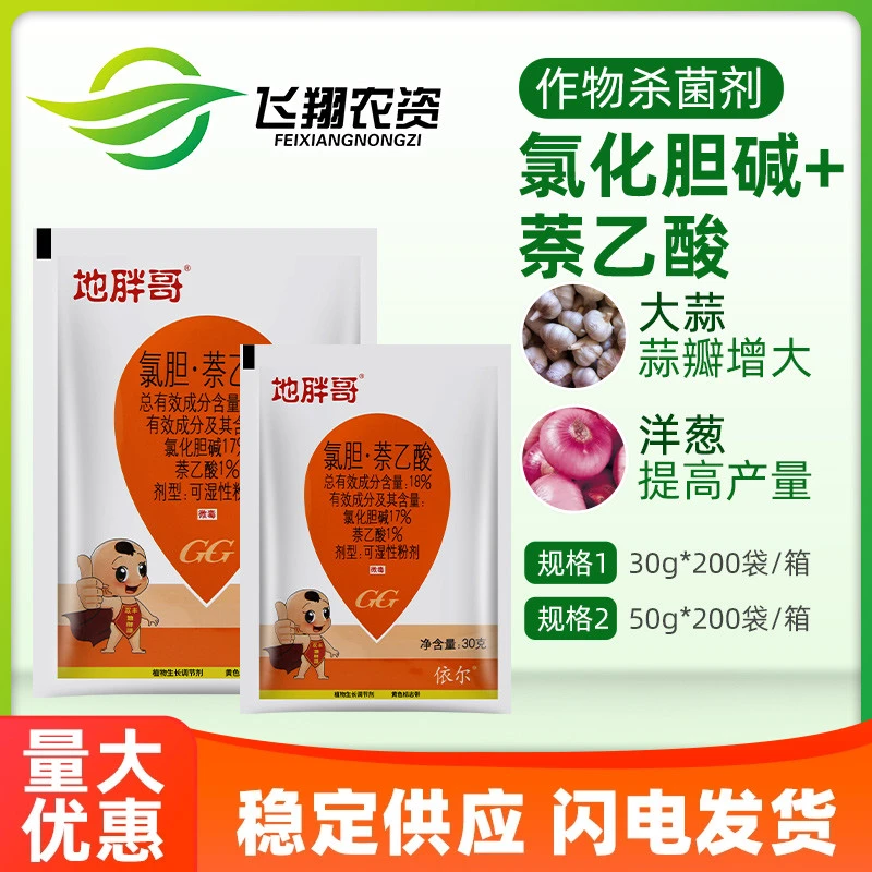 地胖哥 氯胆萘乙酸膨大素三七白术大姜土豆地下根茎块增产膨大剂