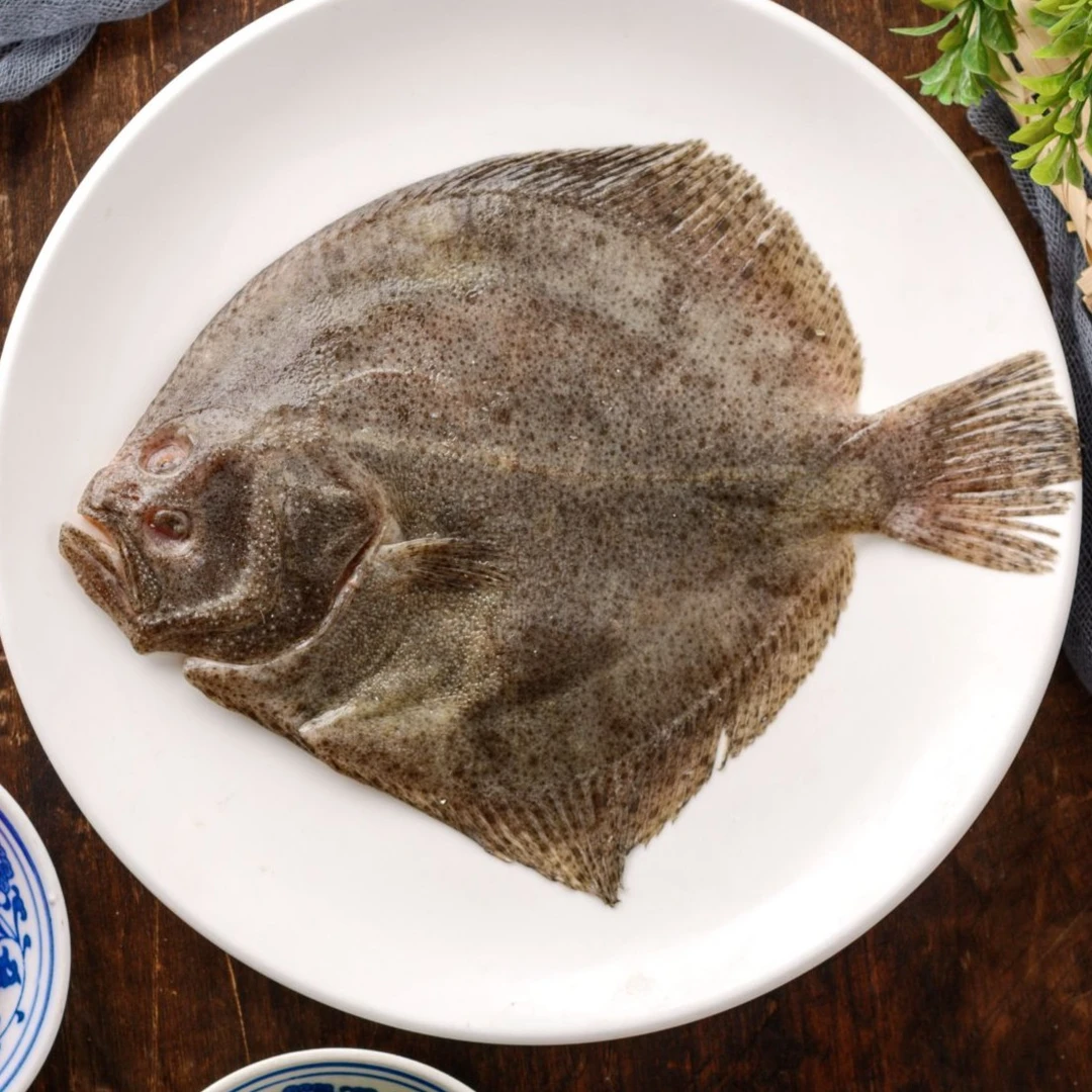 【多宝鱼】约600g/条 默认鲜活打氧配送 如需处理请备注