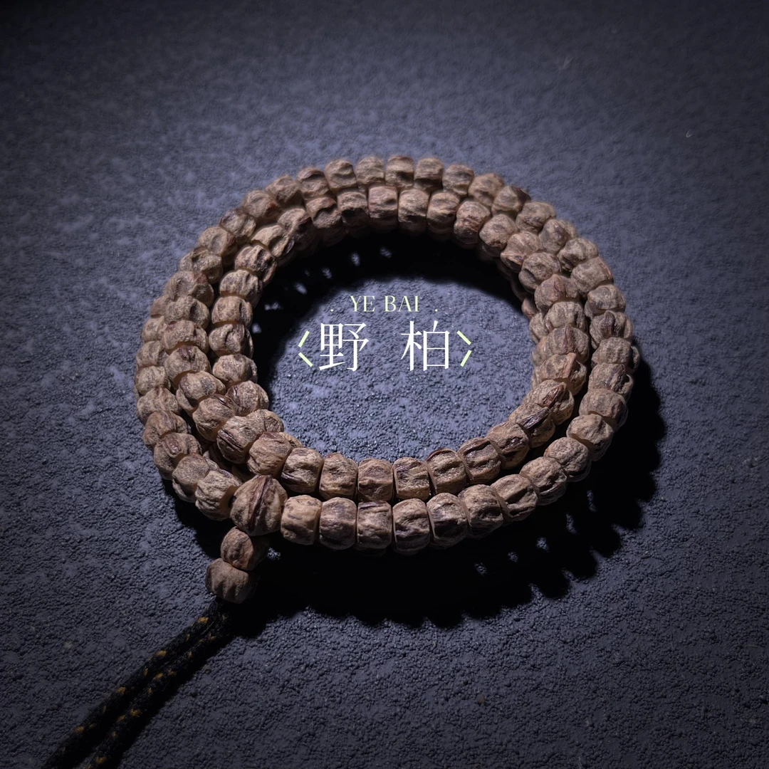 野柏 YEBAI （Y6）暴力龙脊 红牙108