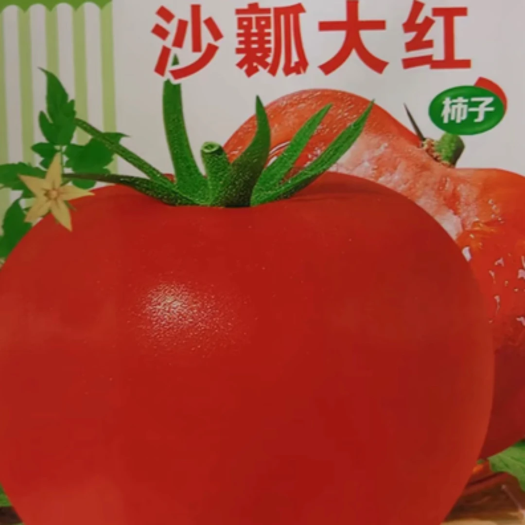 老品种沙瓤西红柿籽