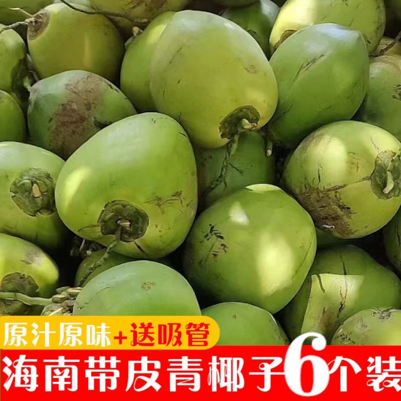 海南椰子带皮新鲜椰青现摘现发孕妇水果整箱6个装椰汁包邮六个装