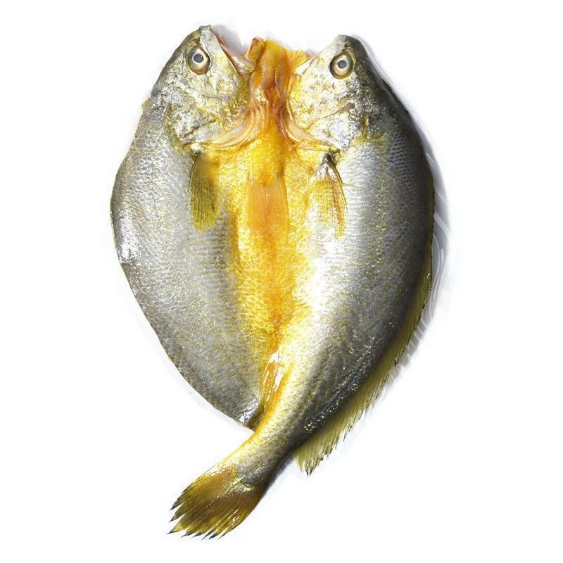 【大亮海鲜实体店首播】三去黄花鱼黄鱼鲞400g*5条去鳞腮去内脏包邮