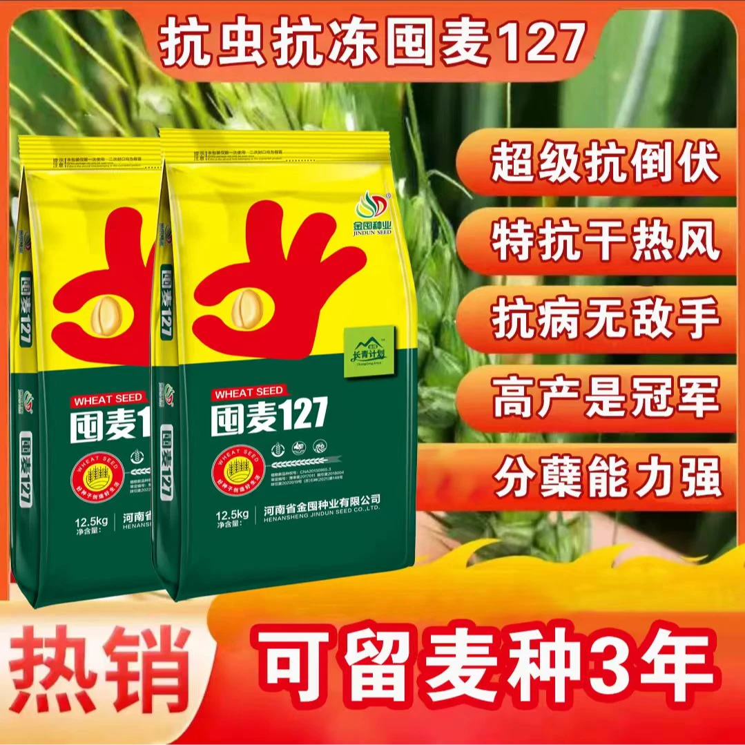 囤麦127 【静】可留种三年品种 抗倒伏 抗病害 小麦