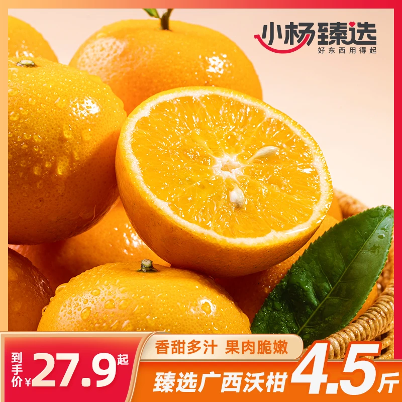 【小杨臻选】广西沃柑净重4.5斤装    短视频