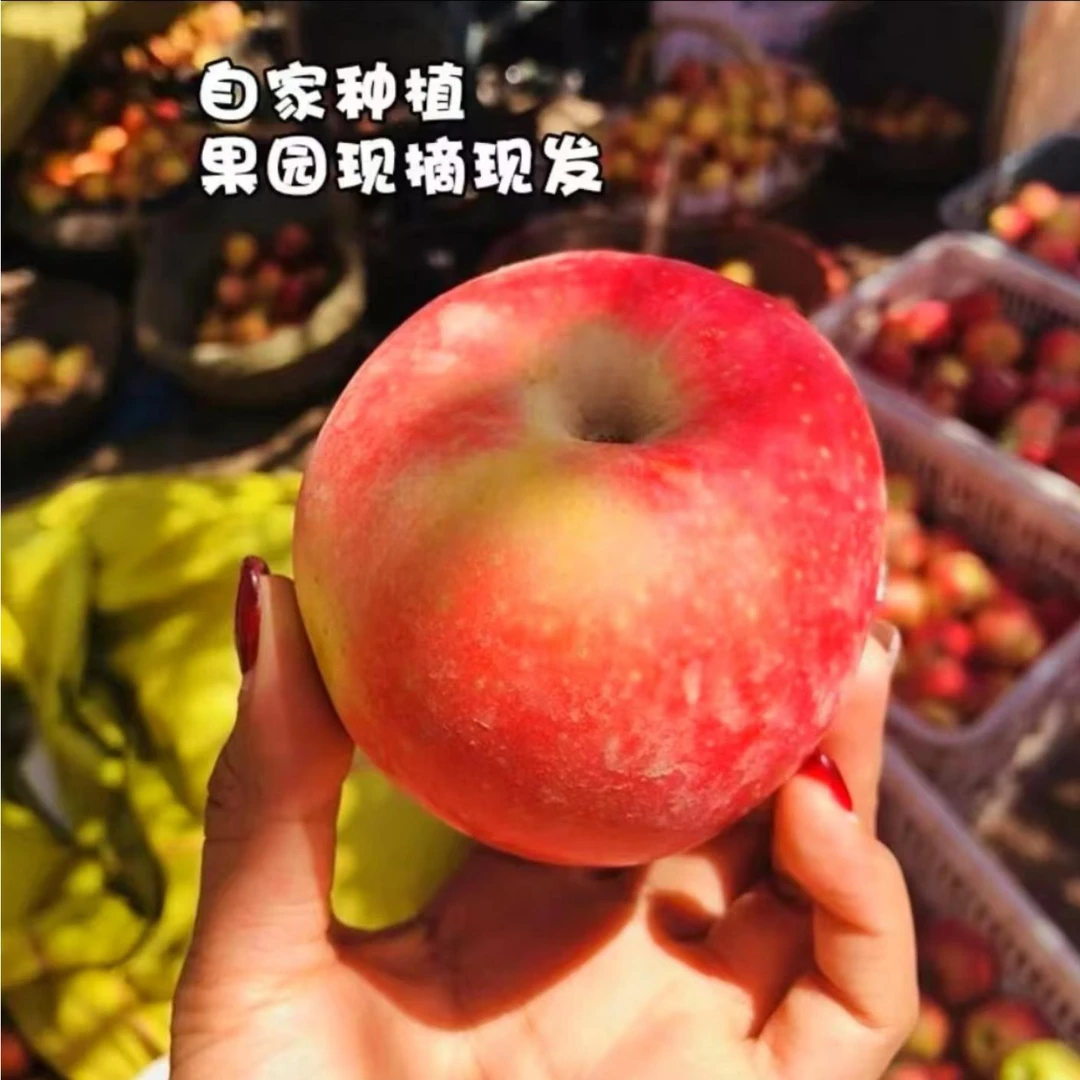 【送4斤】正宗新疆阿克苏冰糖心苹果红旗坡现摘现发当季精心挑选