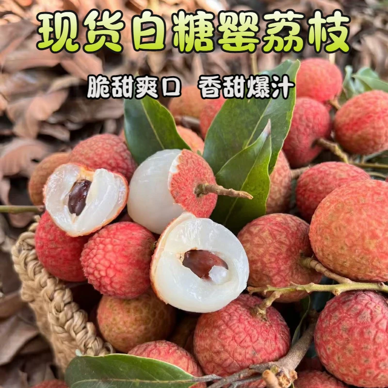 精品高端送礼荔枝新鲜当季白糖罂非冷冻直播卖货冷链顺丰包邮