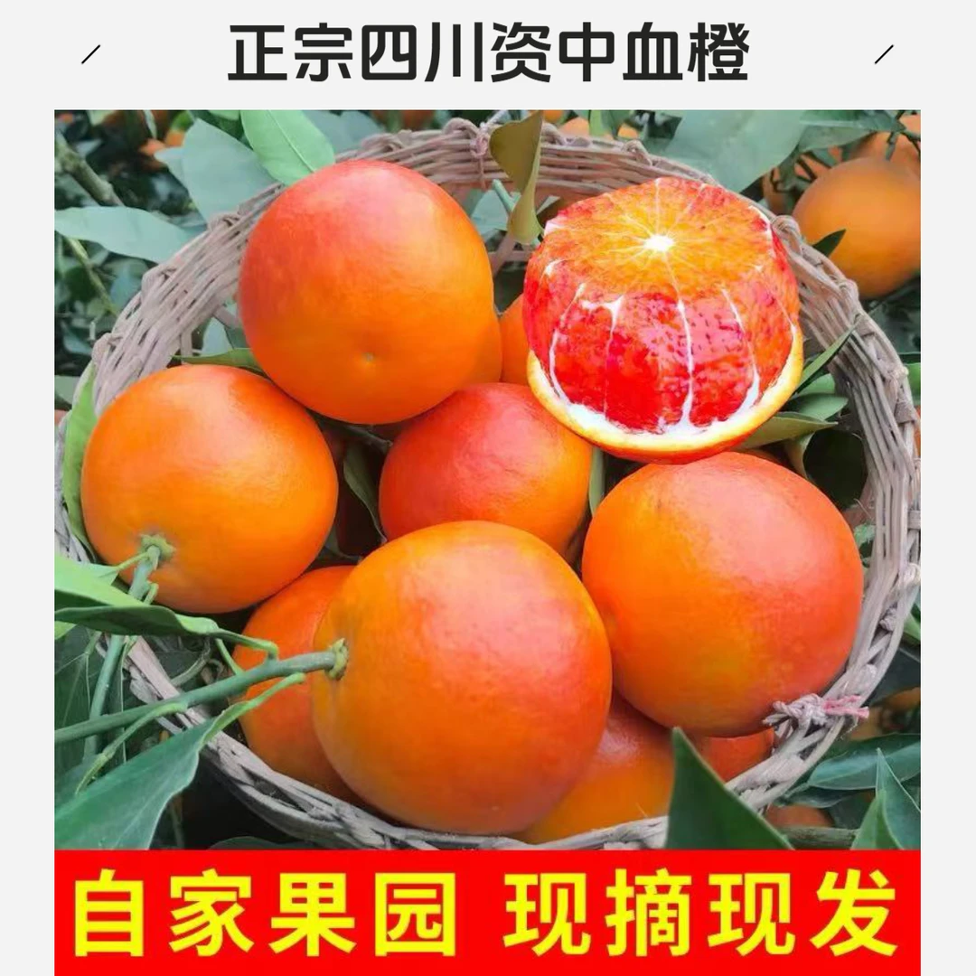 血橙新鲜水果四川资中正宗塔罗科当季超甜红心整箱现摘现发货包邮