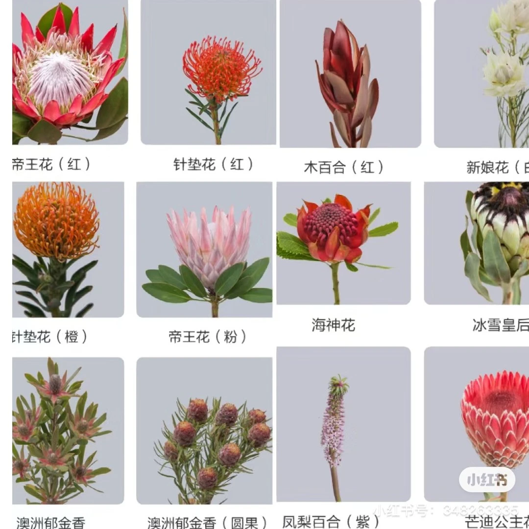 昆明直发鲜花（进口花材）顺丰冷链