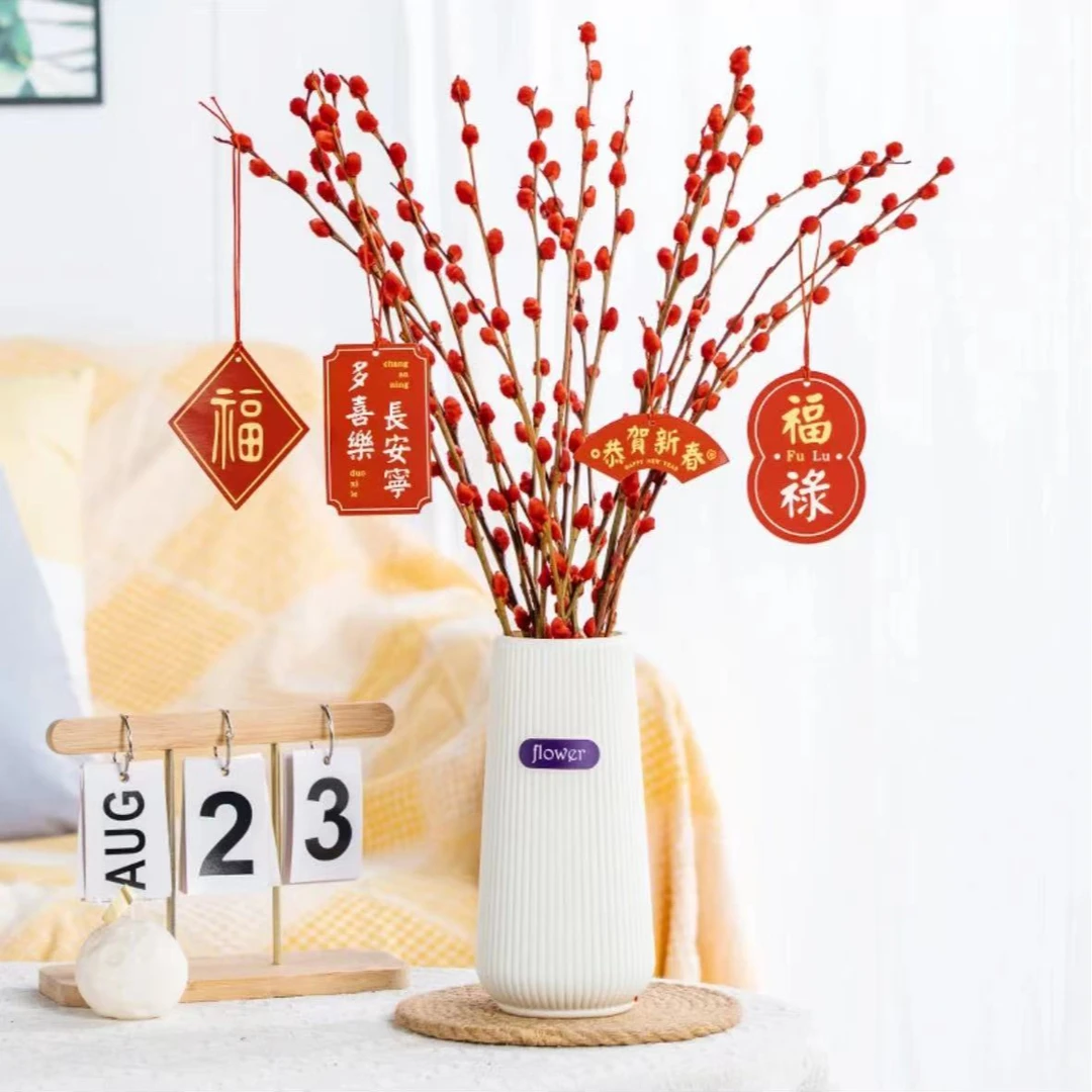 莹莹年宵花红色银柳观赏干花水培花卉真花鲜枝耐寒年宵花彩色招财