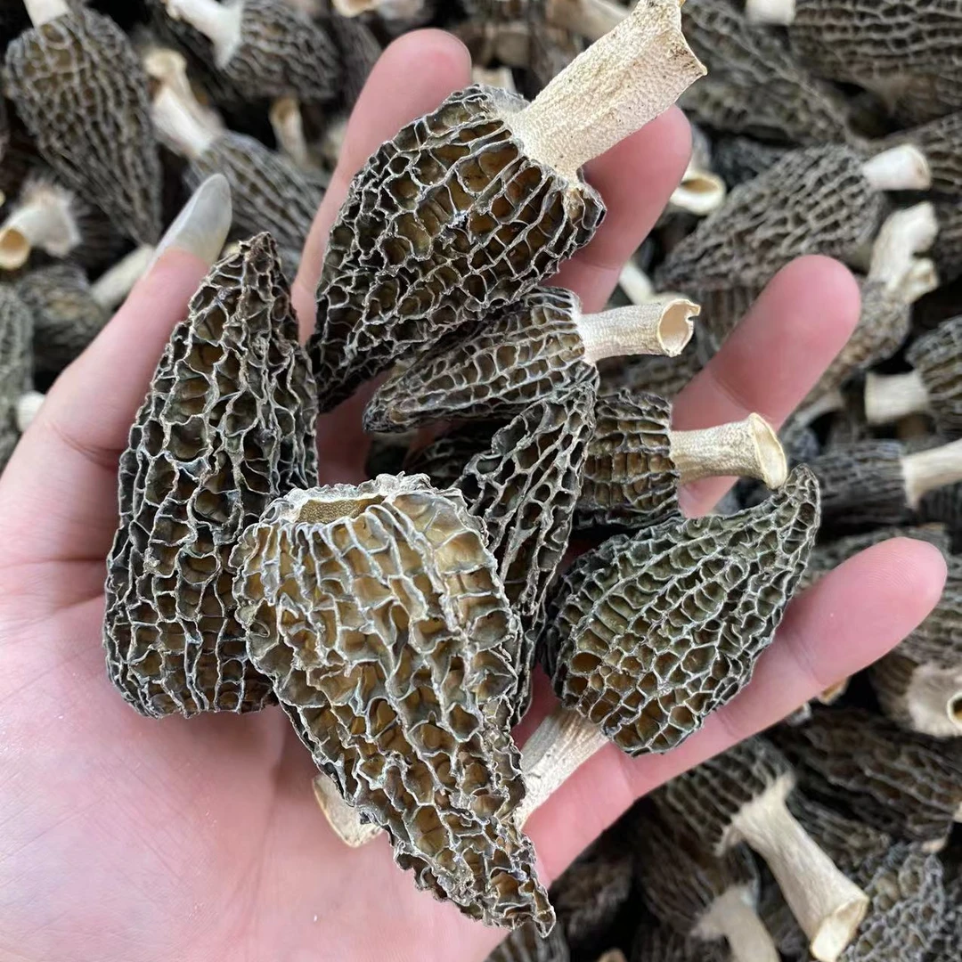 羊肚菌干货新鲜菌菇煲汤干货食材50g