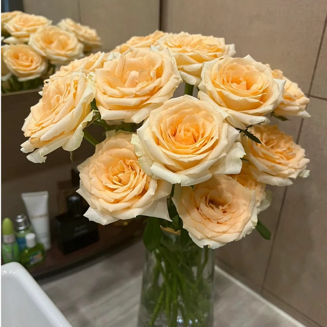 【橙意满满 香槟玫瑰】（20支发货）云南昆明自家基地直发鲜花