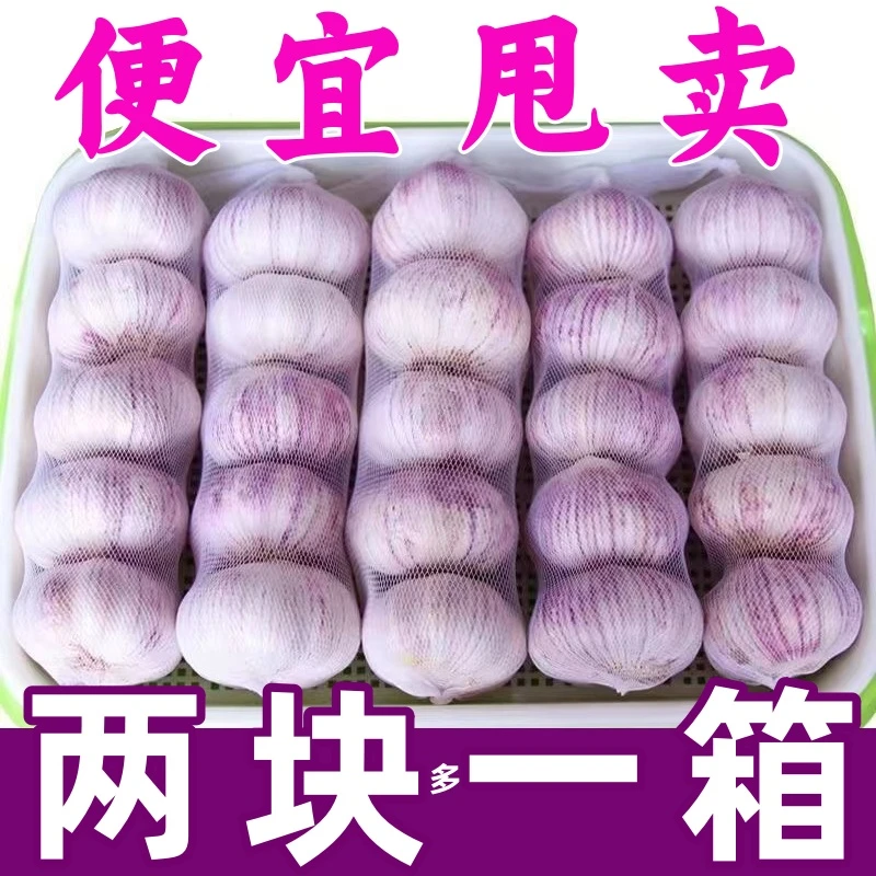 【福利冲刺】山东金乡新干大蒜头批发干蒜紫皮大蒜白皮干大蒜精品