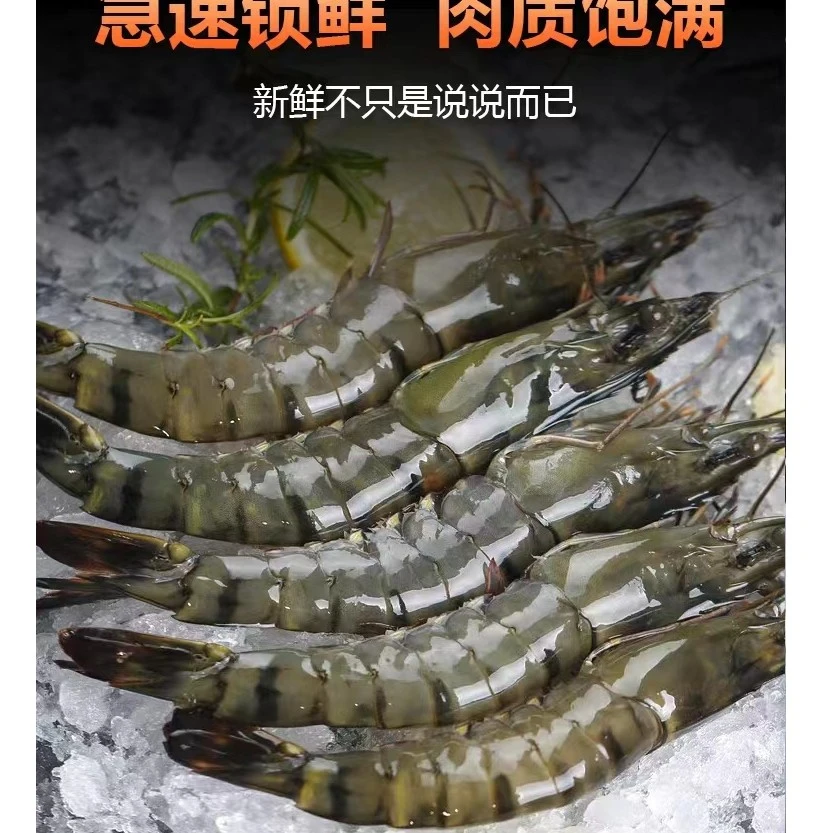 野生海捕黑虎虾,一斤16-18只,净重3斤加半斤顺丰冷链包邮