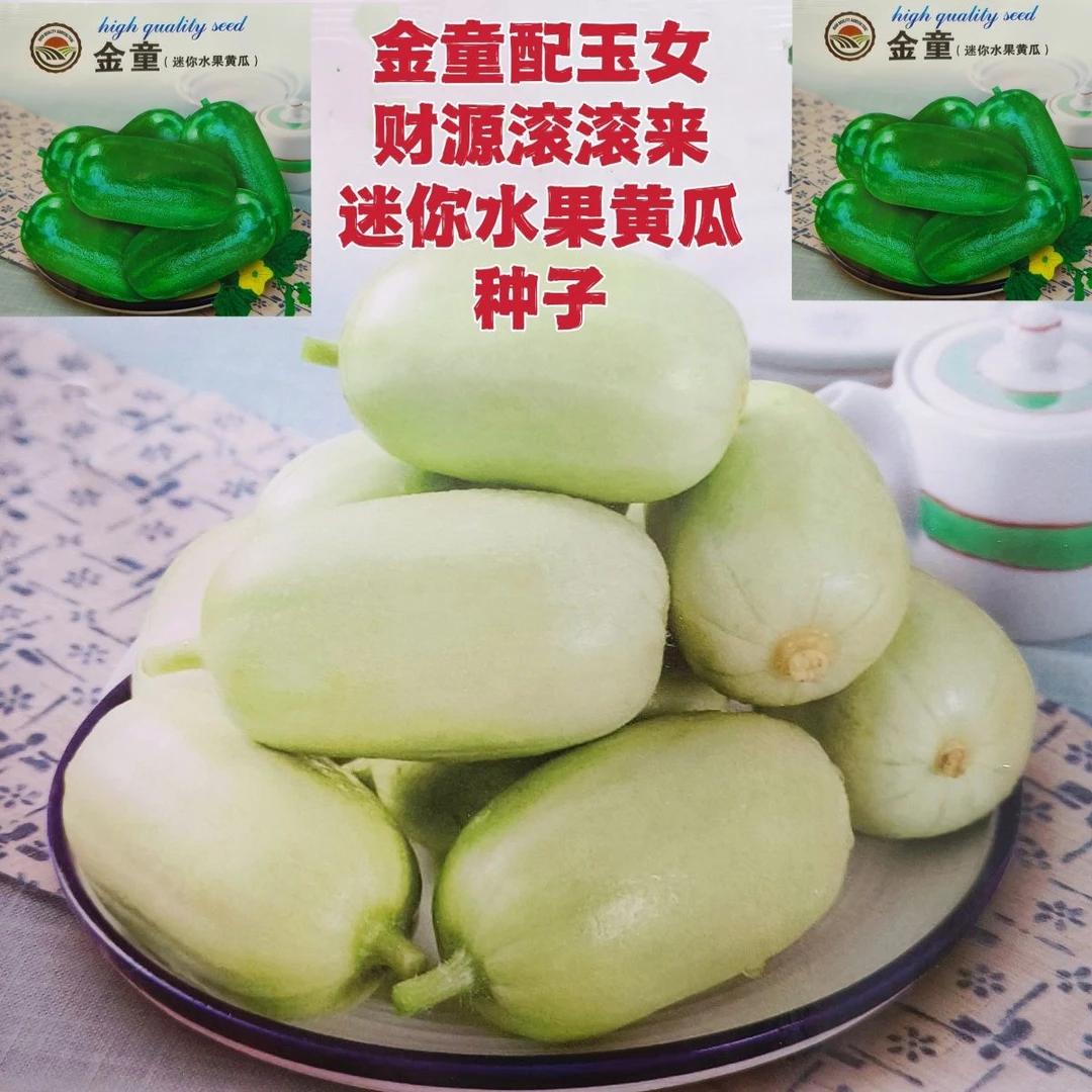 迷你水果黄瓜种子金童玉女小黄瓜种籽春夏秋四季盆栽阳台蔬菜种籽