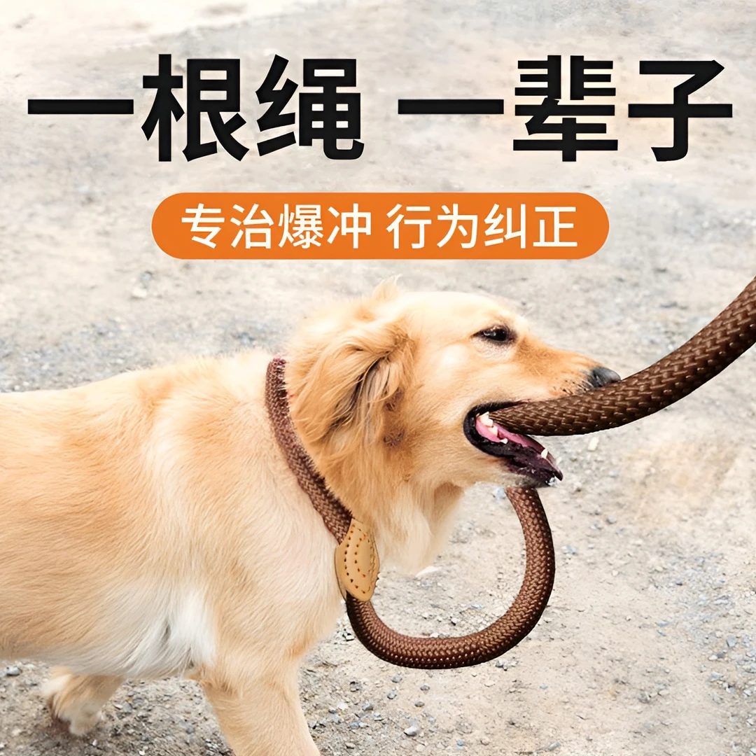 溜狗绳狗链子牵引绳防爆冲链训犬赛级绳牵引带小中大型犬绳猫绳