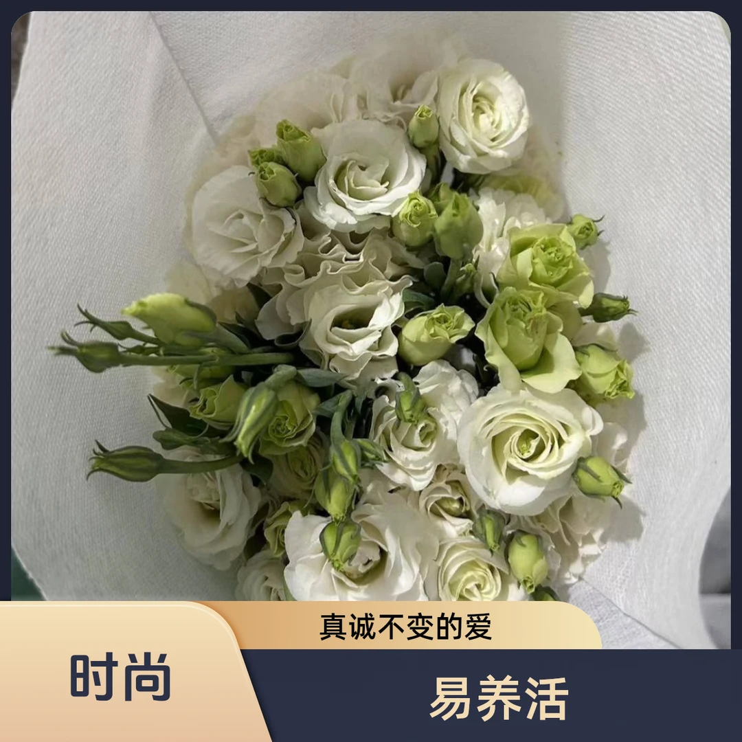 云南鲜花基地洋桔梗、易养活！真诚不变的爱、只给你！高考毕业季时尚