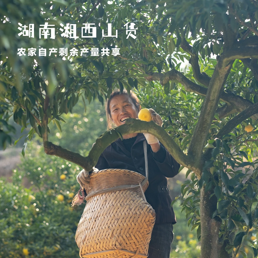 （杨会长）正宗湖南湘西山货萝卜、豆角、辣椒、柚子等/包邮/1斤起