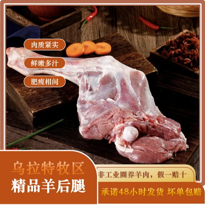 羊后腿内蒙古牧区散养放牧非工业圈养正宗乌拉特中旗羊 35