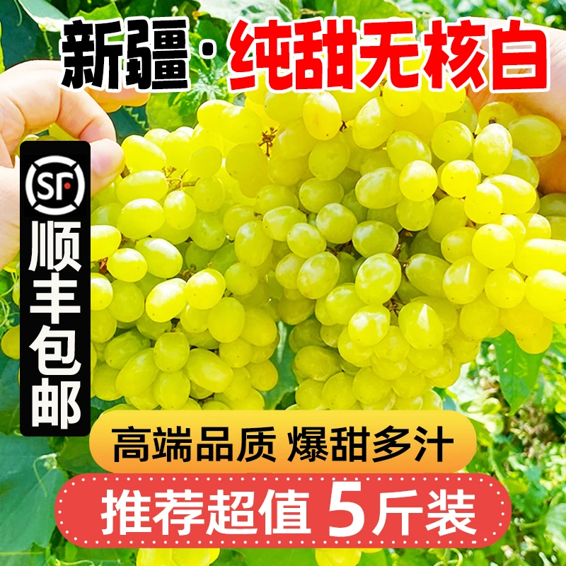 5斤更划算【顺丰包邮】LY新疆吐鲁番火焰山超甜无核白葡萄水果