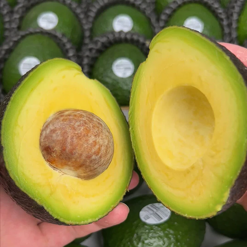 【坏果包赔】MT秘鲁进口哈斯牛油果即食新鲜水果宝宝辅食100-190g
