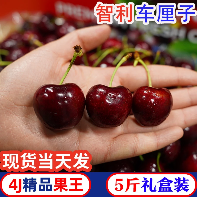 TY【5斤礼盒装】智利进口车厘子J-4J新鲜水果大樱桃当季整箱