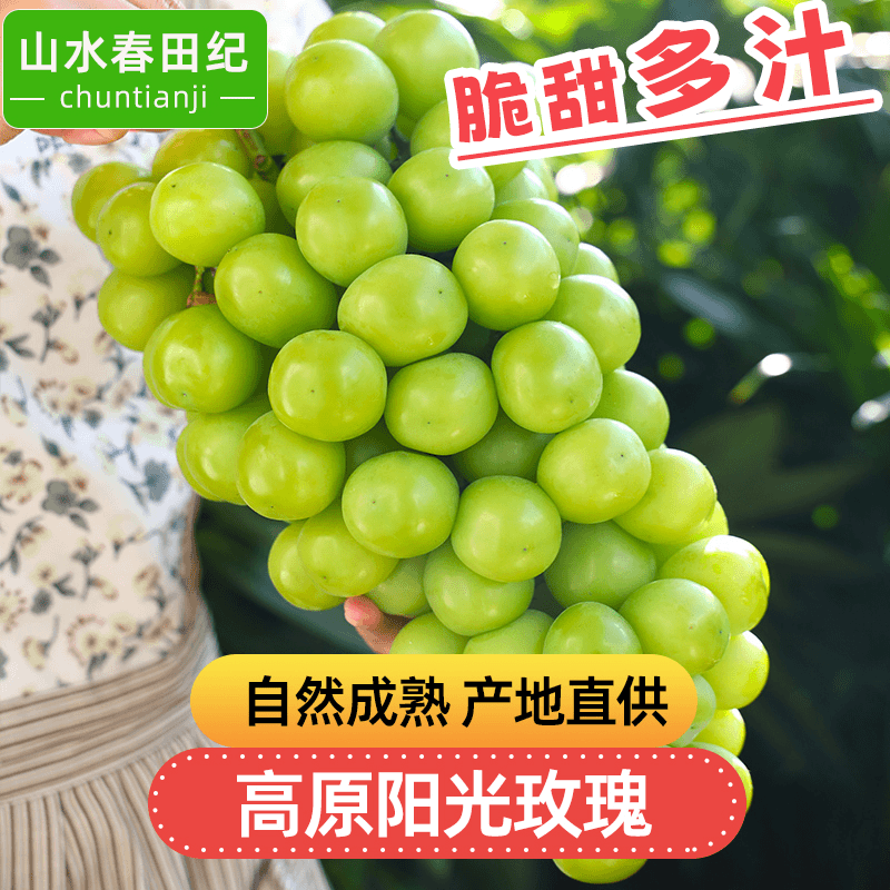 【送一斤】顺丰京东山水春田纪阳光玫瑰葡萄新鲜水果LX高原晴王青提