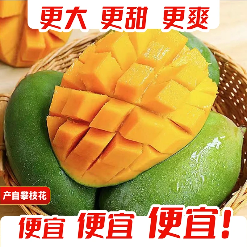 【买5斤送4斤 】四川攀枝花凯特芒现摘现发放软食用坏果包赔9斤