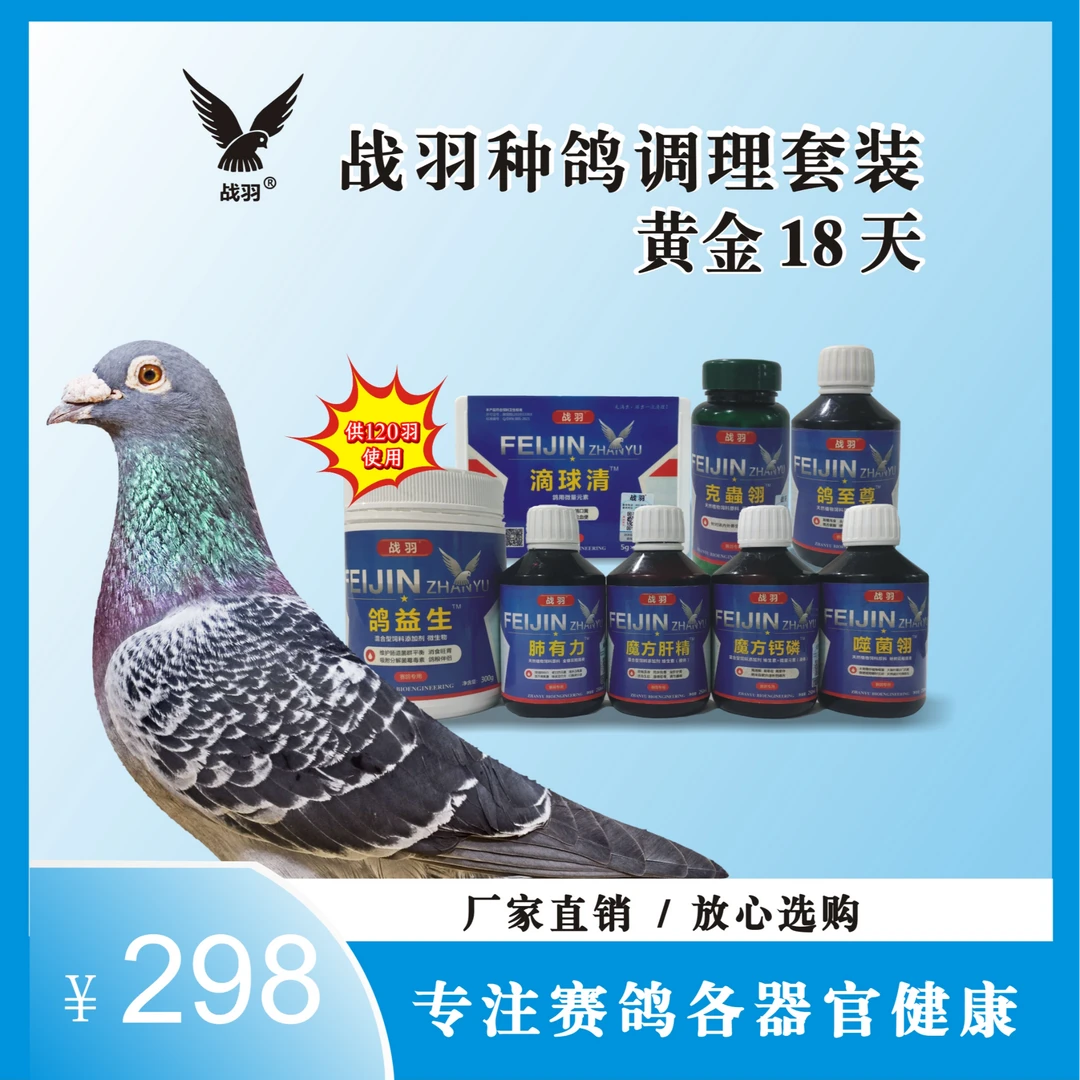 战羽*赛鸽种鸽调理套装（8种8件120羽）信鸽用品